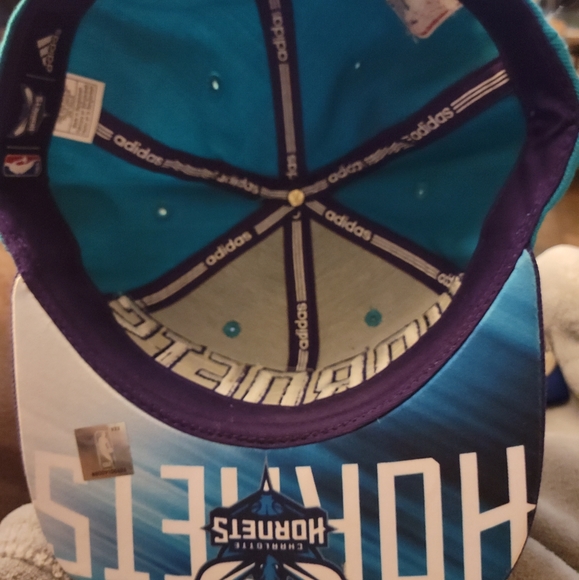 Hornets snap back - Picture 3 of 3